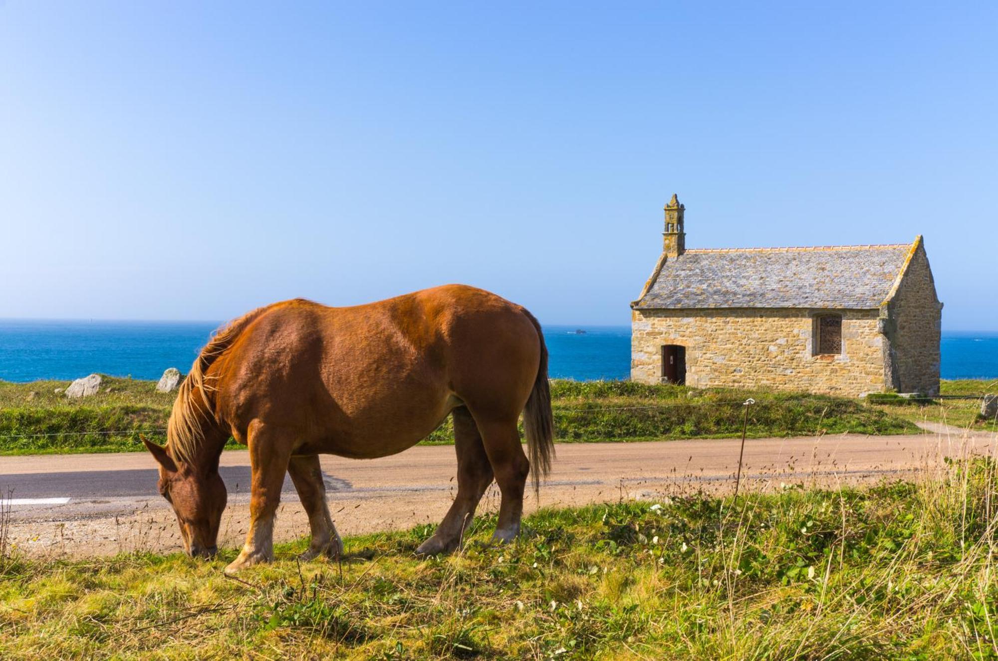 Ty Mor Bras - Maison Familiale A 2 Pas De La Plage Portsall Экстерьер фото